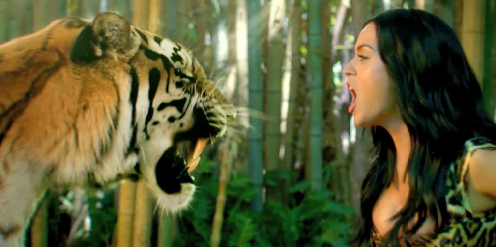 10. El tigre de Katy Perry: ¿Necesitamos agregar algo más? Es el protagonista del video de Roar de la cantante.