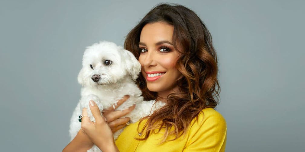 8. Eva Longoria: La actriz respondió a las preguntas de su perro Jinxy, un ejemplar de maltés, en una entrevista.
