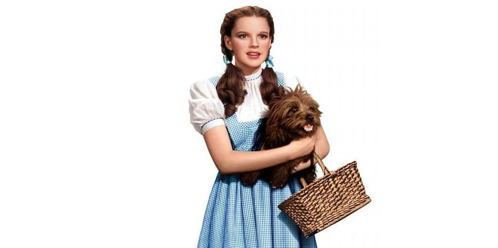 10. TOTO: Este terrier es la mascota de Dorothy, a quien acompaña durante su aventura en el mundo de Oz.