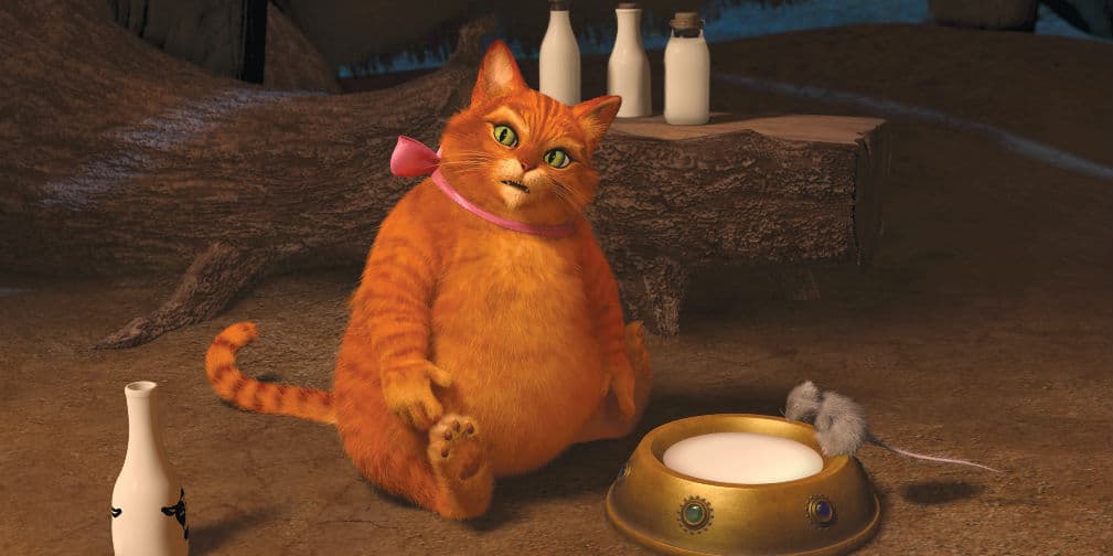 En 2009, DreamWorks Animation anunció que la serie terminaría con Shrek Para Siempre: el capítulo final.