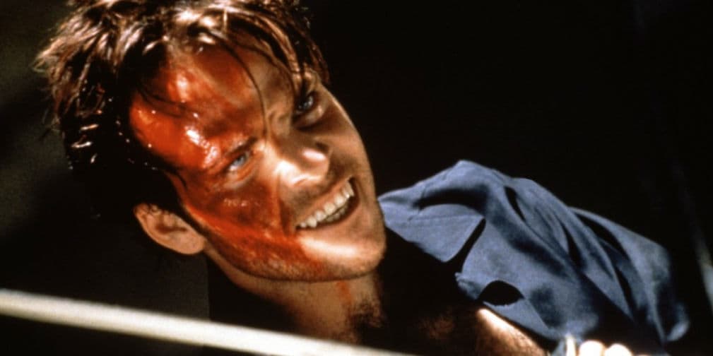 Muchos lo ubican por su papel de Deacon Frost en Blade: Cazador de Vampiros.