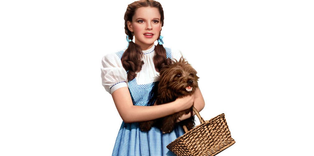 9. Toto: El perro y fiel compañero de Dorothy Gale en El Mago de Oz, perteneciente a la raza Cairn Terrier.