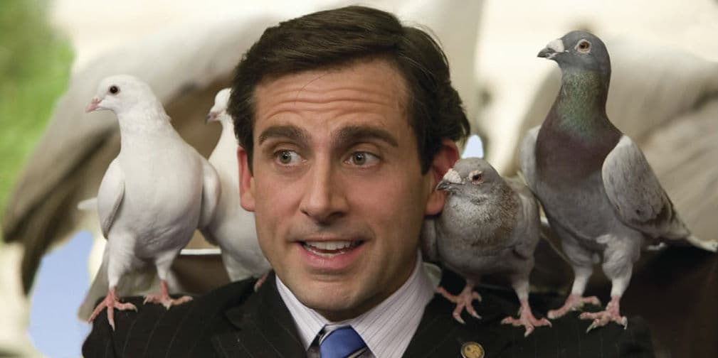 13. Steve Carell: Lo recordamos por cintas como Virgen a los 40, Pequeña Miss Sunshine, Evan Almighty y Foxcatcher.