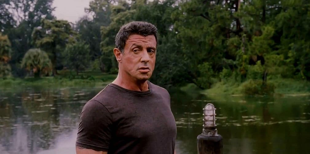 Sylvester Stallone, nacido en Nueva York, el 6 de julio de 1946, es el héroe por excelencia: Rambo, Rocky, Cobra y The Expendables, sus mejores cartas.