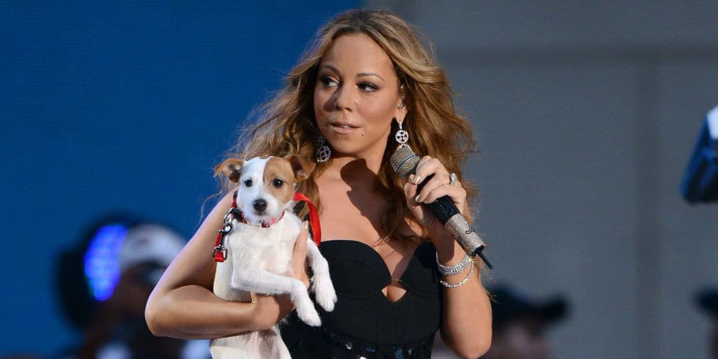10. Mariah Carey: Jill E Beans es un perro con mucha suerte. Su dueña le permite disfrutar del jacuzzi con ella.