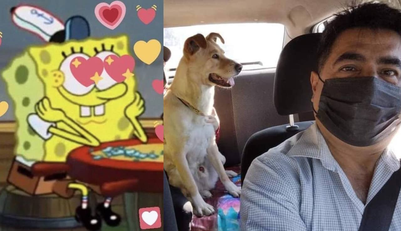 Taxista se hace viral por permitir a los pasajeros subir a sus mascotas