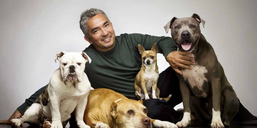 6. César Millán: El Encantador de Perros vivió una etapa de depresión que lo llevó a intentar quitarse la vida.