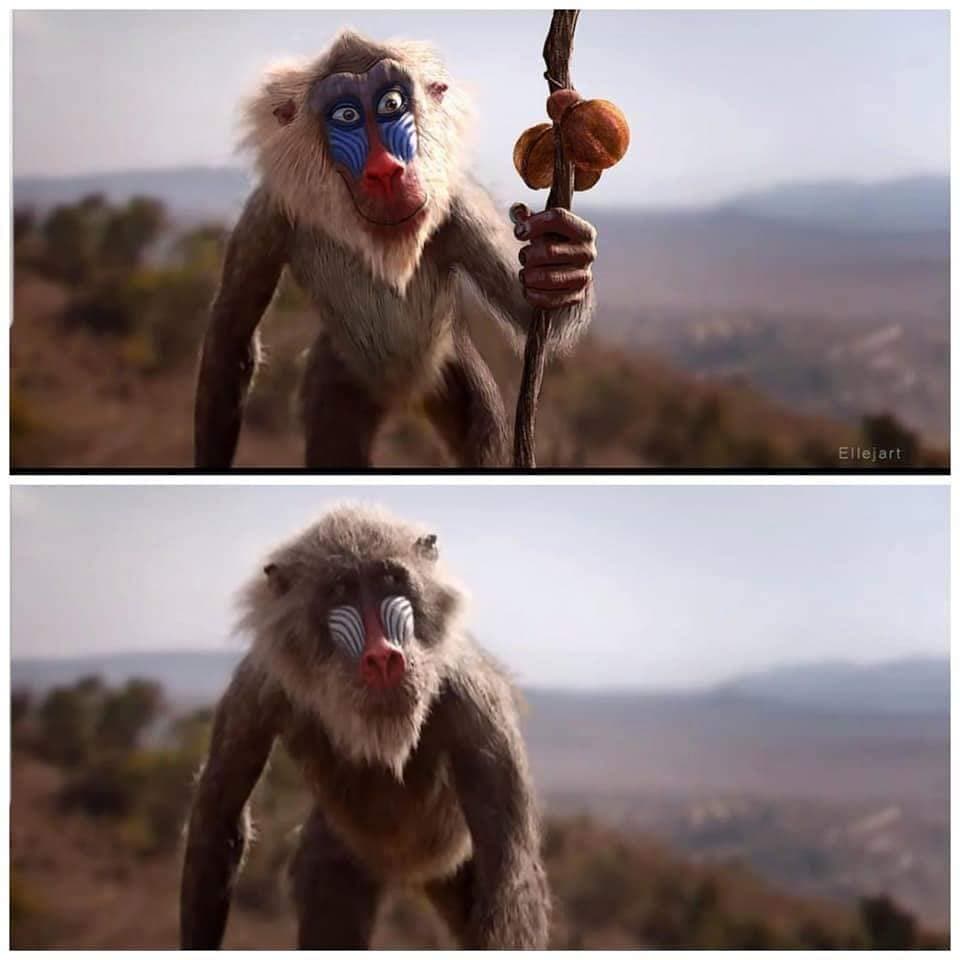 Sin duda nos gusta más el anterior Rafiki.