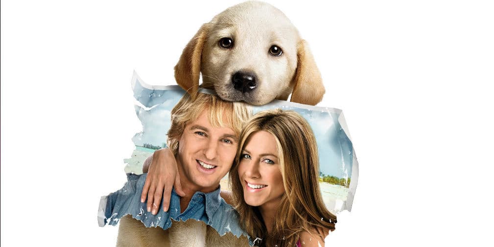 1. Marley: El tierno cachorro de Marley y Yo, propiedad de Owen Wilson y Jennifer Aniston, nos enamoró a todos.