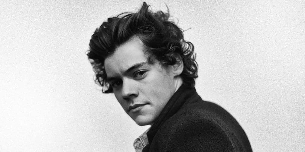 18. Harry Styles: Nació en Holmes Chapel, Cheshire, el 1 de febrero de 1994 y es un cantante y compositor británico,