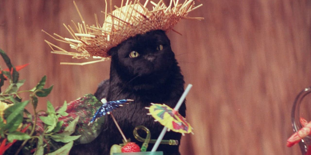 Las mejores frases de Salem