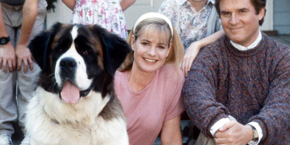 12. BEETHOVEN: La estrella de varias películas sobre las aventuras de un cachorro San Bernardo.