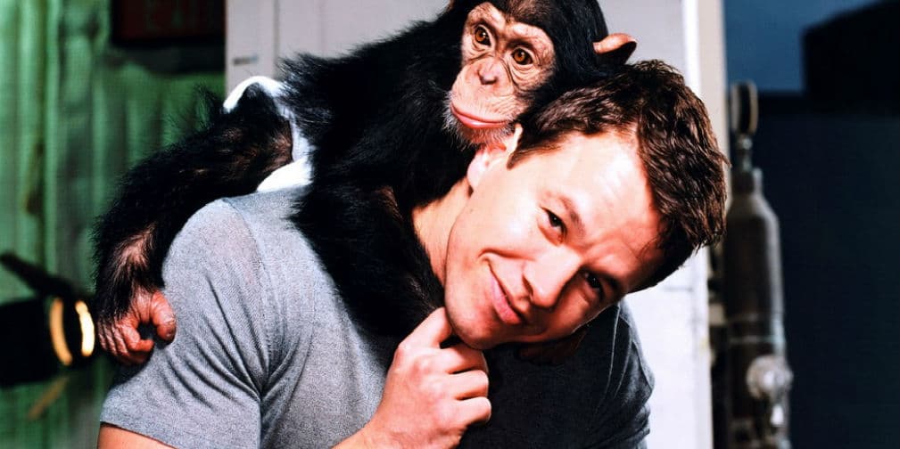 Mark Wahlberg nació en Dorchester, Massachusetts, el 5 de junio de 1971. ¡Tiene 43 años!