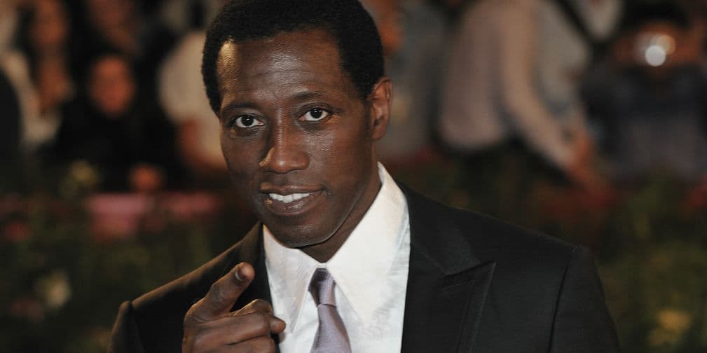 7. Wesley Snipes: Apareció en la saga de Blade, El Demoledor y varias más.