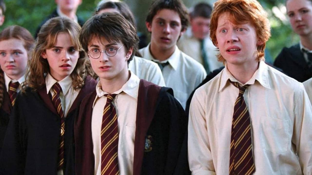 Harry Potter: Hacen quema de libros en Tennessee
