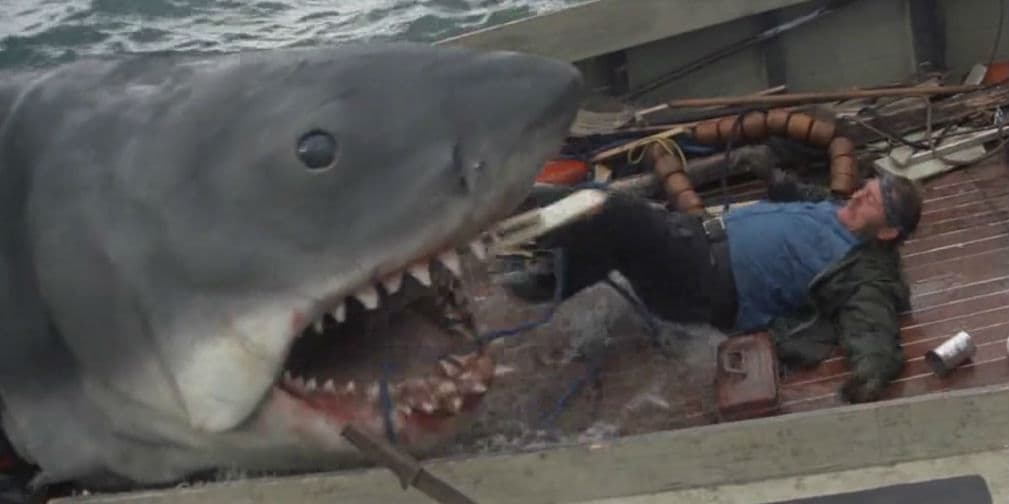 6. Jaws (1975): Tiburón a la vista y desde que vimos esta peli se nos quitaron las ganas de ir a la playa.