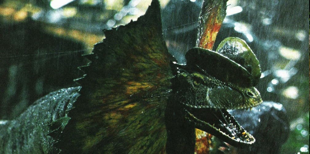 6. Los dinosarios son, en todo caso aves, nunca reptiles. Declaró el famoso paleontólogo llamado Jack Horner.