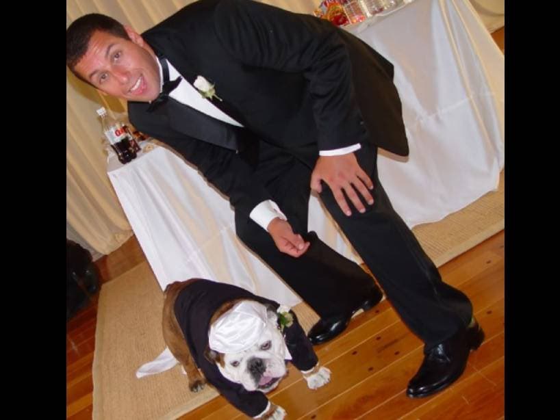 Adam Sandler llevó su perro a su boda.