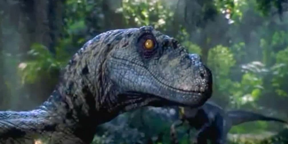 4. Parque Jurásico se filmó en una isla llamada Oahu, la misma donde J. J. Abrams grabó la serie de LOST.