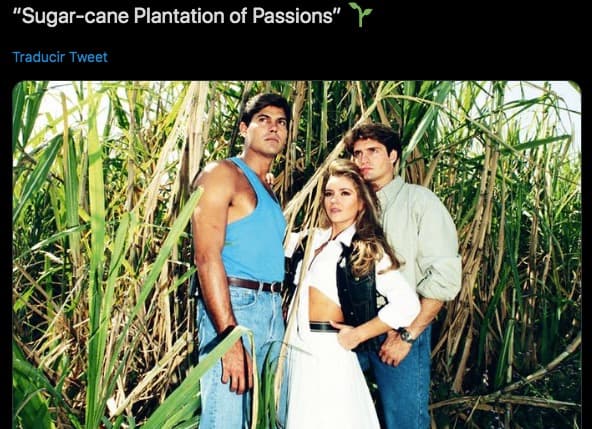 'Cañaveral de pasiones' pasaría a ser 'Sugar-cane Plantation of Passions'.