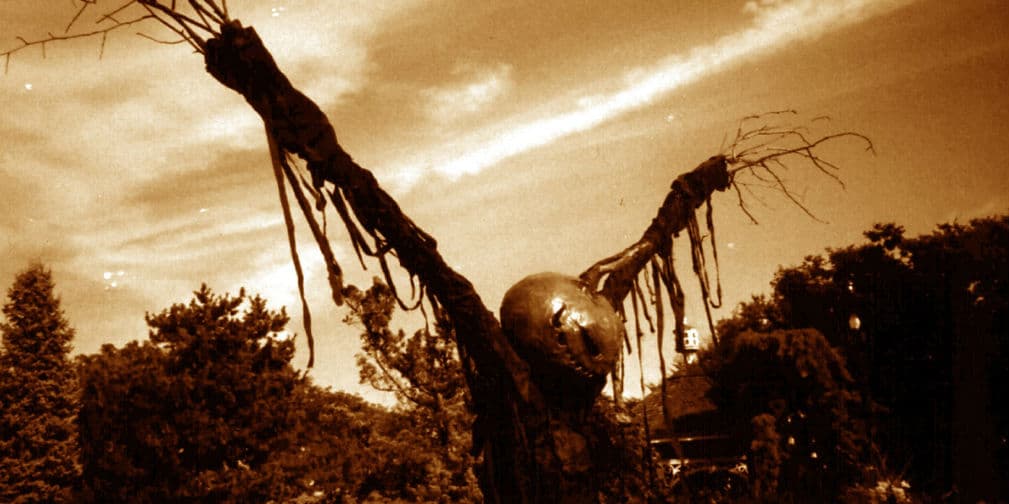 El Espantapájaros fue un seudónimo ocasional del vicario, Doctor Syn, pluriempleado como contrabandista en una serie de novelas de Russell Thorndike.