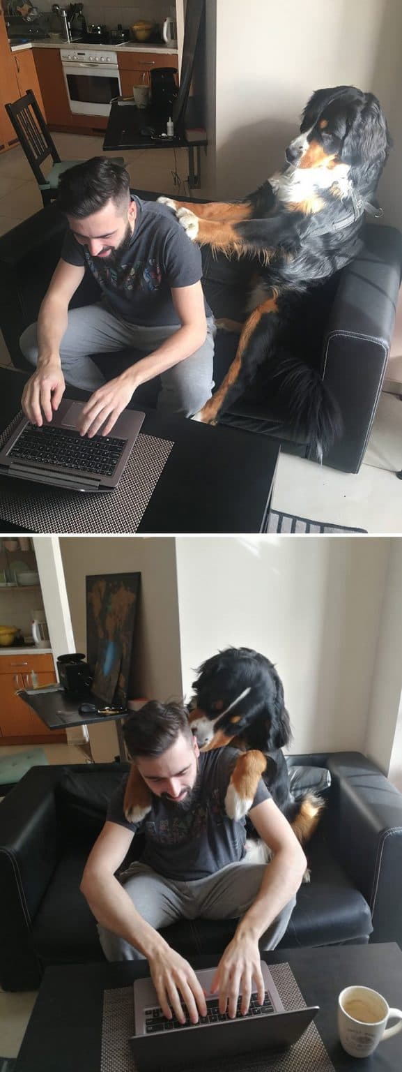 Adiós al estrés, este ayudante se encargará de los masajes y abrazos.