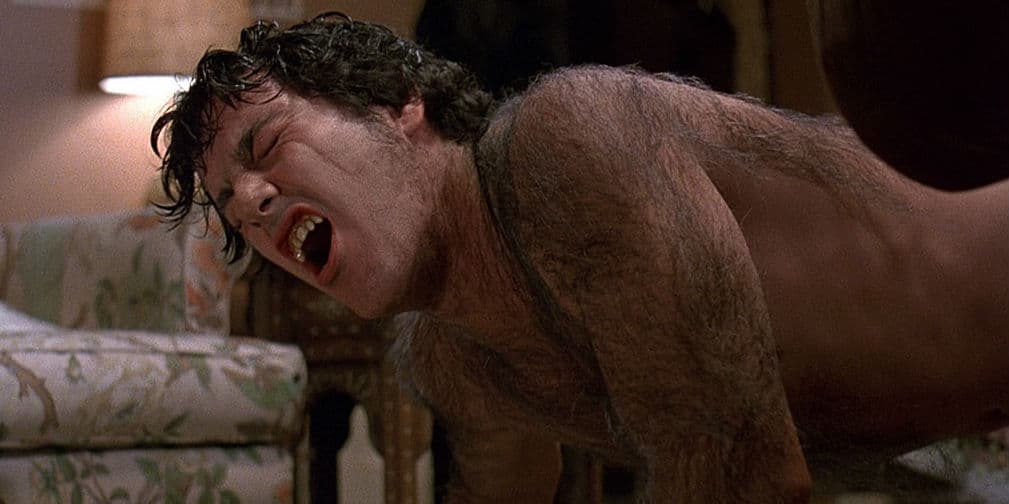 4. Están de moda. Gracias a Teen Wolf y Twilight, los hombres lobo ahora son varoniles y atractivos.