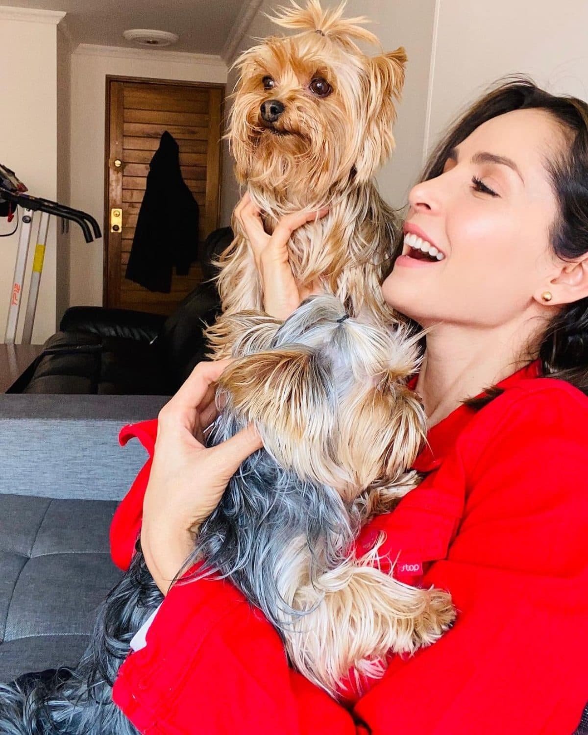 Las tiernas mascotas que Carmen Villalobos y Sebastián Caicedo se pelean