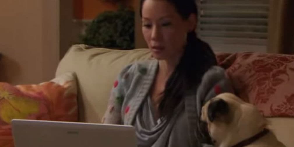 7. Marry Me: En esta mini serie, el adorable Pug casi le roba la atención a su protagonista, Lucy Liu.