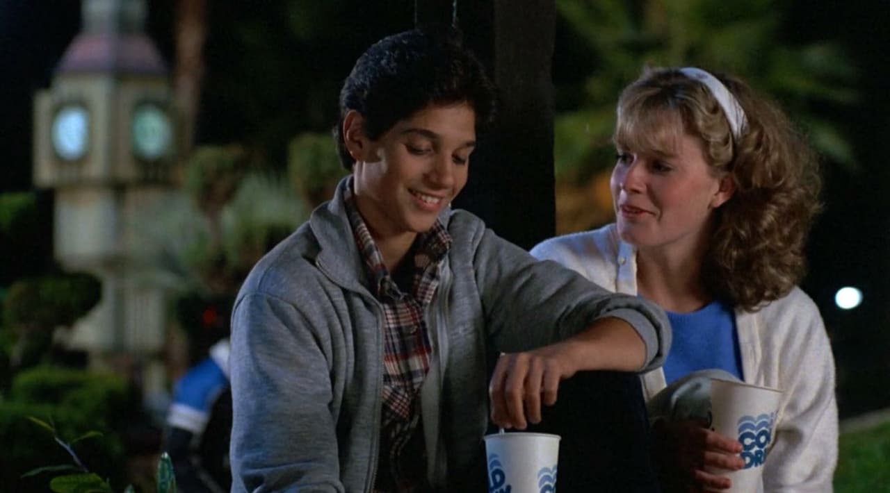 En 1984 conocimos a Ali Mills en 'The Karate Kid', la novia de Johnny Lawrence (William Zabka) y de Daniel LaRusso (Ralph Macchio). Este personaje regresó, ahora en la tercera temporada de 'Cobra Kai'.