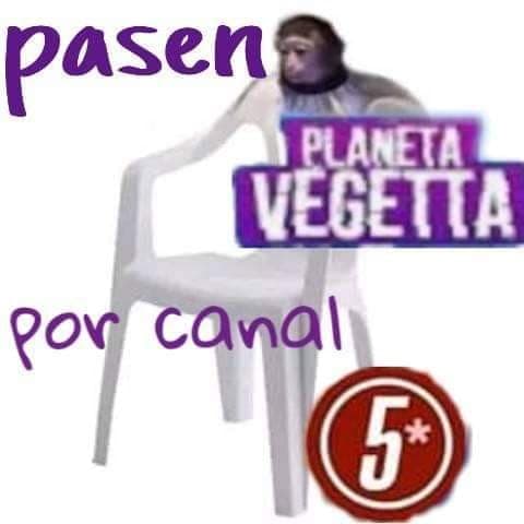 La neta pusimos este meme por el changuito. A lo que sigue.