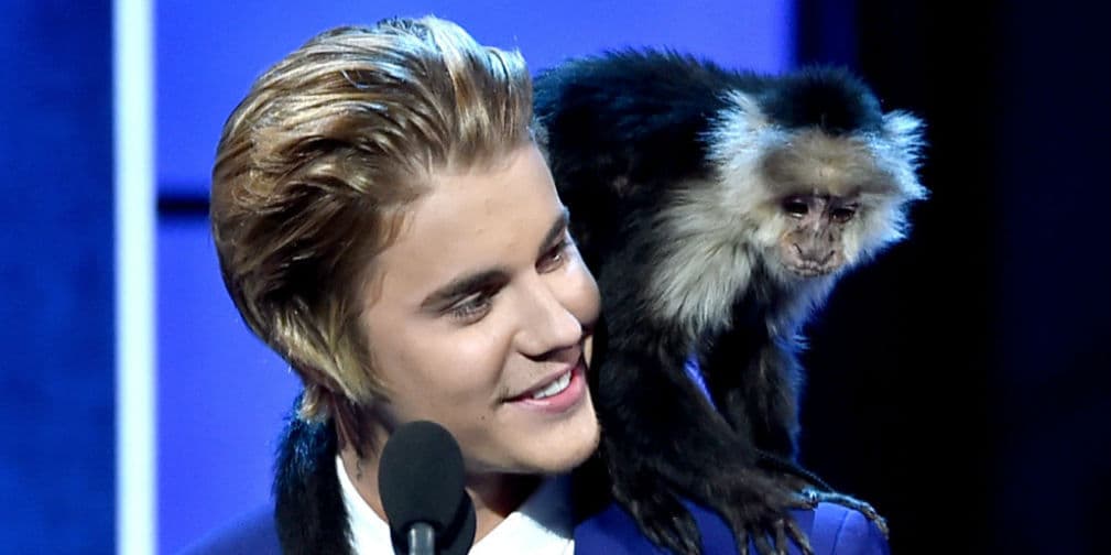6. Justin Bieber: Las autoridades alemanas separaron al ídolo del pop de su mascota, un mono capuchino Mally.