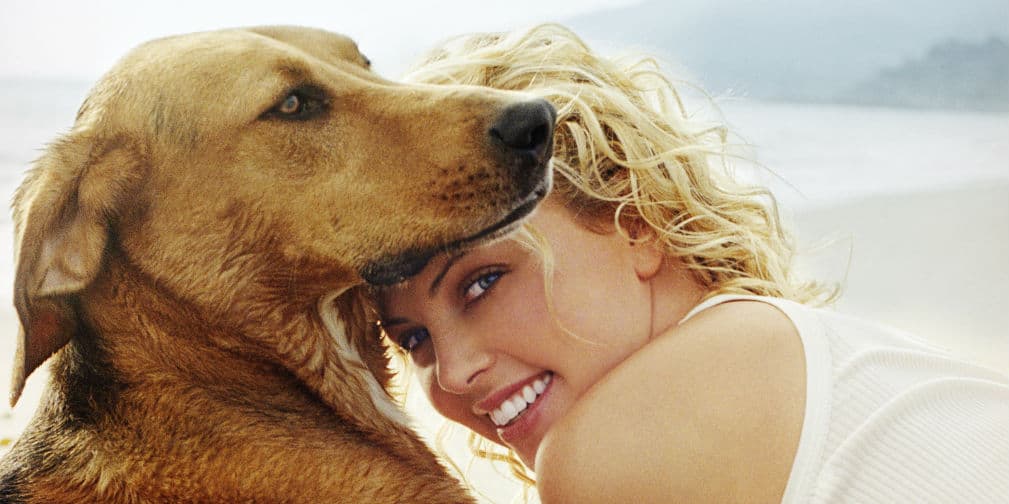 8. Charlize Theron: La actriz y modelo está en contra de usar pieles y tiene cuatro perros adoptivos.