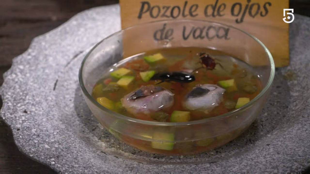 Insectos y vísceras son parte de los platillos gourmet de Casa de los ...