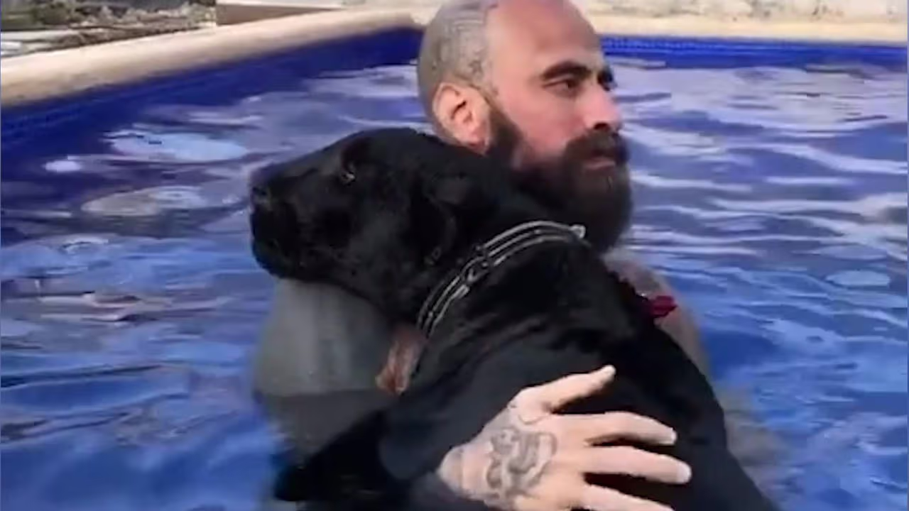 Mira cómo Babo es el más rudo y tierno mimando a su pantera | Shows ...